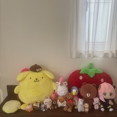決定いたしました！ぬいぐるみ君