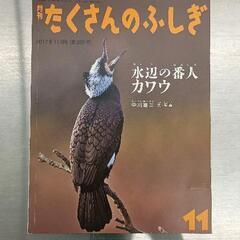0604-295 本の画像