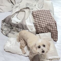 dog-fabric クッションタイプのベッド＆お散歩バッグ