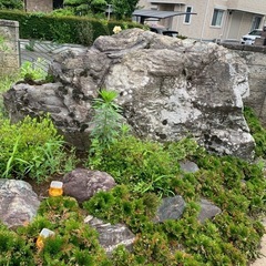 庭石　日本庭園　ガーデニング　岩　大きい