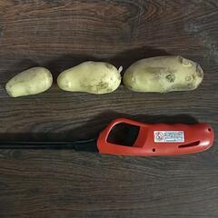 じゃがいも　メークイン　10kgの画像