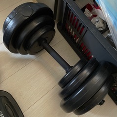《早めに購入してくれる方歓迎》ダンベル/筋トレグッズ
