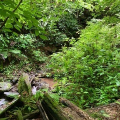 低い山限定　登山！、 - 江戸川区