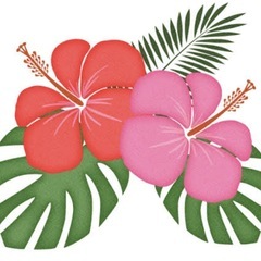 ワンデーフラダンス🌴🌴