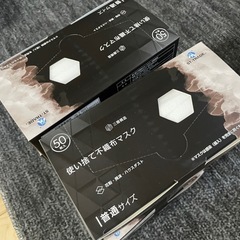 マスク　8箱の画像
