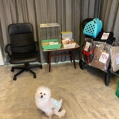 鳥かご　あげます。