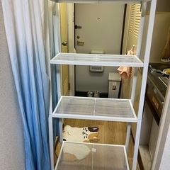 整理棚