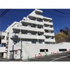 即入居可❕❕💛💚フリーレント1ヶ月付き💚💛敷礼ゼロ🎶かしわ台駅徒歩9分✨賃料38,000円🌈南東向き🌞12.91㎡の1Rです😍💕 - 海老名市