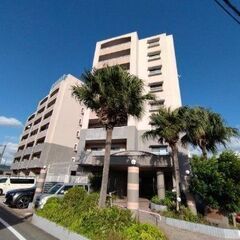 🏡室内綺麗な物件　過去にリフォーム完了済　3LDKマンション　東...