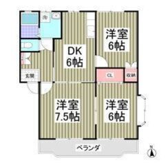 💛💚初期費用8万円パック＆フリーレント1ヶ月付き💚💛ペット…