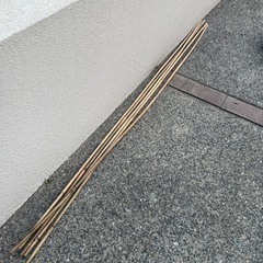 竹