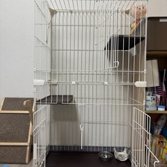 【傷なし、消毒消臭してお渡し】猫用ゲージ
