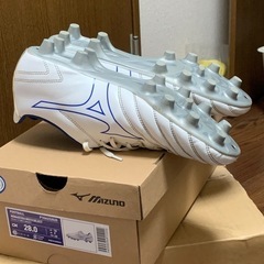 ミズノmizuno neo 28.0cm