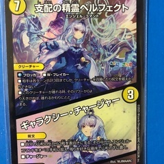 支配の精霊ペルフェクト