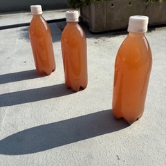 (受け渡し者決定)PSB 500ml ⑦