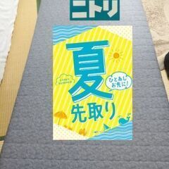 夏先取りセール！札幌市近郊の方限定！送料無料！ニトリ ポケットコ...