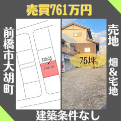 建築条件なし_高台の閑静な住宅街_前橋市大胡町_売地75坪_大胡...