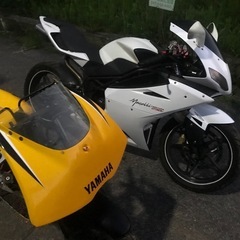 TZR50レーサーとメガリ250R まとめて2台の画像