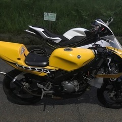 TZR50レーサーとメガリ250R まとめて2台の画像