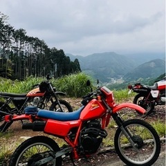 xlx250rの画像