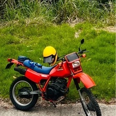 xlx250r