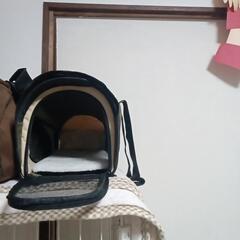 ペットキャリー