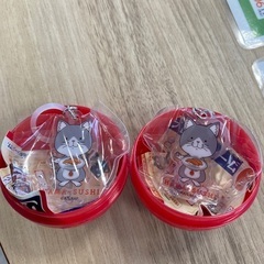はま寿司 赤猫 アンブレラチャーム 佐々木