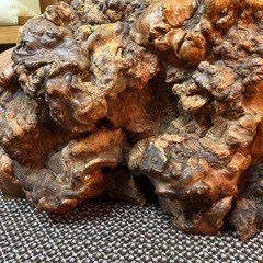 瘤の置物の画像