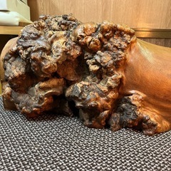 瘤の置物