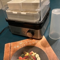 Russell Hobbs スチーマー