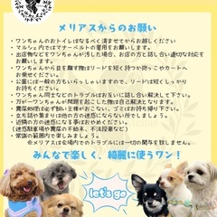 6/21・6/22 メリアスdogマルシェ　まつぶし緑の丘公園　埼玉犬イベント　愛犬と一緒 - イベント