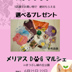 6/21・6/22 メリアスdogマルシェ　まつぶし緑の丘公園　埼玉犬イベント　愛犬と一緒 - 北葛飾郡
