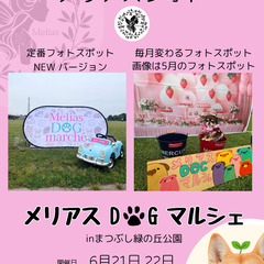 6/21・6/22 メリアスdogマルシェ　まつぶし緑の丘公園　埼玉犬イベント　愛犬と一緒 - 地域/お祭り