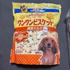 犬、ドッグフード
