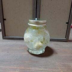 ハーバリウム