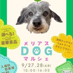 出店者様募集！メリアスdogマルシェ　9/27、9/28 …