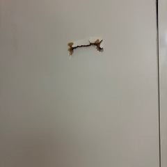 食器棚 白の画像