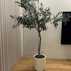 インテリア フェイクグリーン 観葉植物
