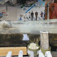 【至急】水槽の移動を手伝っていただける方を探しています（草加市・...