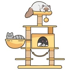 キャットタワーお譲り下さい！