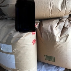 令和６年度青森産　玄米