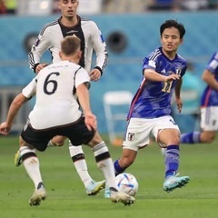 にわか初心者🔰スポーツ観戦好き友達募集。