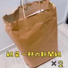 沢山の古新聞　　紙袋2袋分