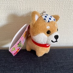 旅するマメしば　温泉ver.の画像