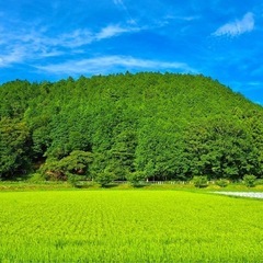 🚗旅行好き集まれ！日帰り旅仲間募集中🌟 - 友達