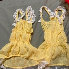 犬の夏服