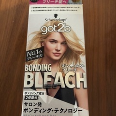 シュワルツコフ got2b ゴットゥービー ボンディング・ブリーチ