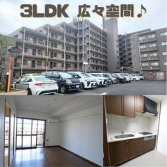 士業・自営業の方必見！駐車場有。事務所、夫婦住まい、一人暮らし、...