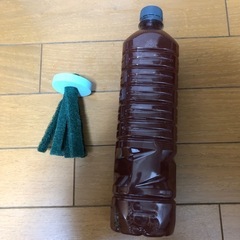 🔵 産卵床、PSB光合成細菌１本
