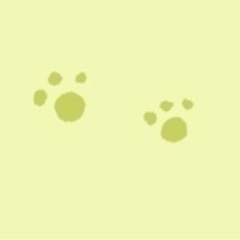バスケできるクラブ等探してます！